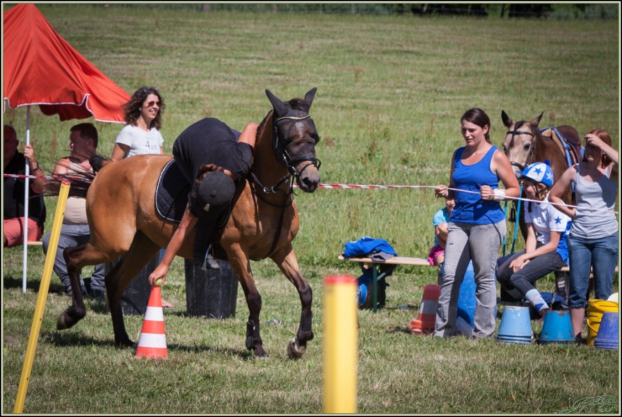 Mounted Games 264